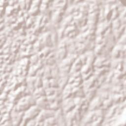 Acurenam Terrain Map