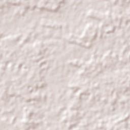 Rorainópolis Terrain Map