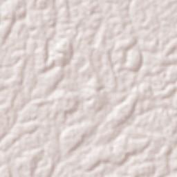 Zadie Terrain Map