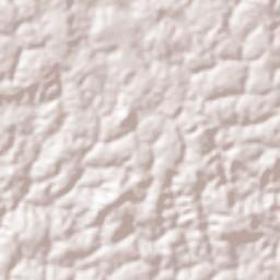 Mitzic Terrain Map