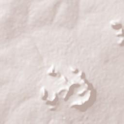Tororo Terrain Map