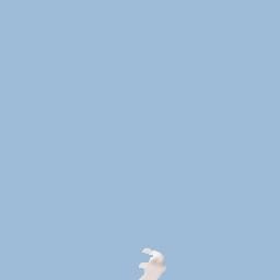 Thinadhoo Terrain Map