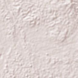 Ntoum Terrain Map