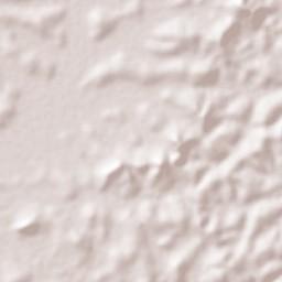 Bwizibwera Terrain Map