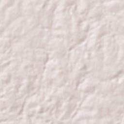 Magalhães Barata Terrain Map