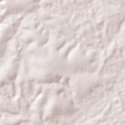 Ewo Terrain Map