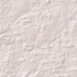 Santo Antônio do Tauá Terrain Map