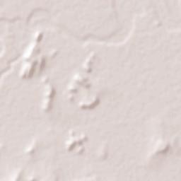 Kyaka Terrain Map