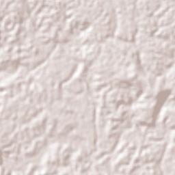La Chorrera Terrain Map