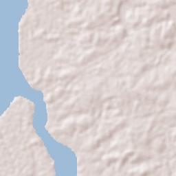 Bacuri Terrain Map