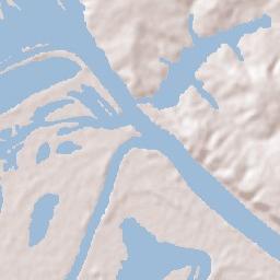 Oriximiná Terrain Map