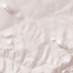 Nyamuswa Terrain Map