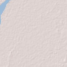 Palestina Terrain Map