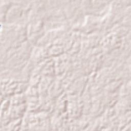 Novo Airão Terrain Map