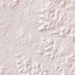 Maracaçumé Terrain Map