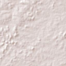 Centro do Guilherme Terrain Map