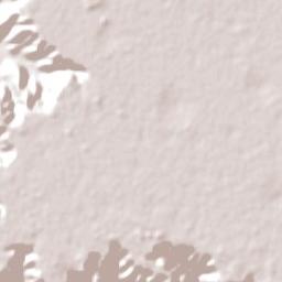Djambala Terrain Map