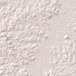 Pinheiro Terrain Map