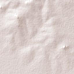 Misungwi Terrain Map