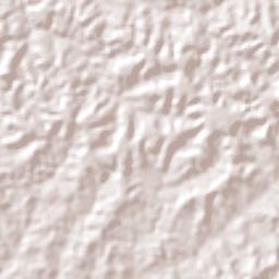 Manaus Terrain Map