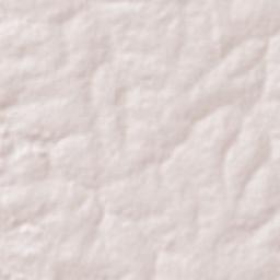 Barroquinha Terrain Map