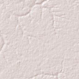 Uarini Terrain Map