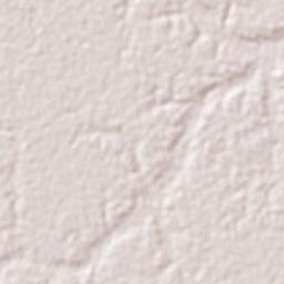 Caapiranga Terrain Map