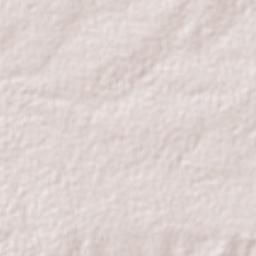 Kisesa Terrain Map