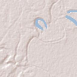 Juruá Terrain Map
