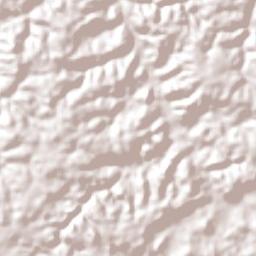 Brasil Novo Terrain Map