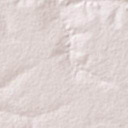 Santa Quitéria do Maranhão Terrain Map