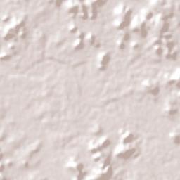 Nina Rodrigues Terrain Map