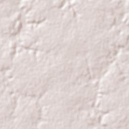 Anapurus Terrain Map