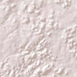 Joca Marques Terrain Map