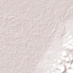 Merelani Terrain Map
