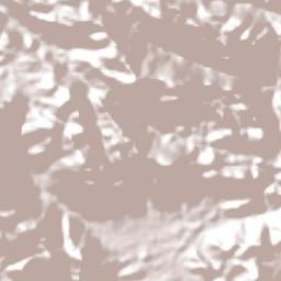 Itapagé Terrain Map