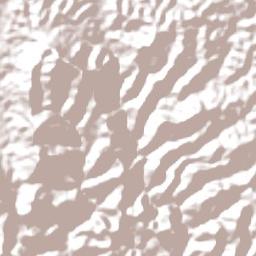 Nuku Terrain Map