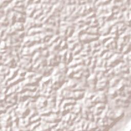 Bom Jardim Terrain Map