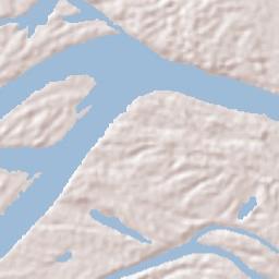 Puerto Nariño Terrain Map