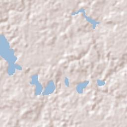 Careiro Terrain Map