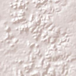 Campo Largo do Piauí Terrain Map