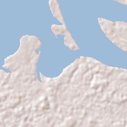 Coari Terrain Map