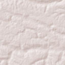 Pindoretama Terrain Map