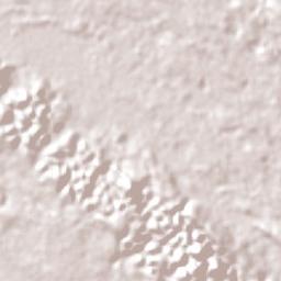 Dolisie Terrain Map