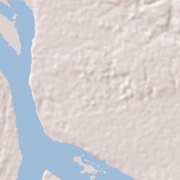 Leticia Terrain Map