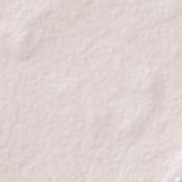 Bukene Terrain Map