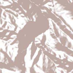 Kabupaten Pegunungan Bintang Terrain Map