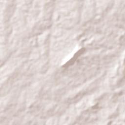 Ibaretama Terrain Map