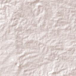 Madalena Terrain Map