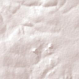 Puma Terrain Map